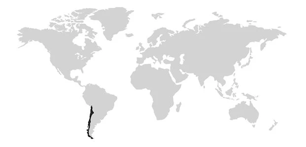 Chili