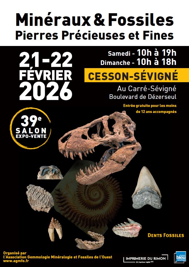 39ième salon de minéraux de l'AGMFO