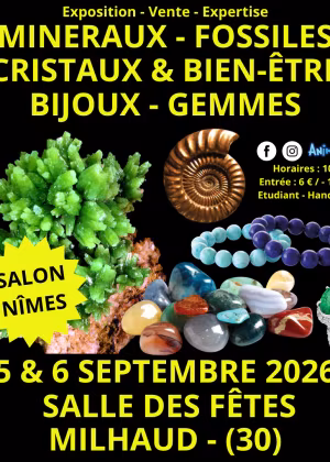 Salon Minéraux Fossiles Cristaux