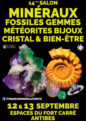 14ème Salon des Minéraux d'Antibes