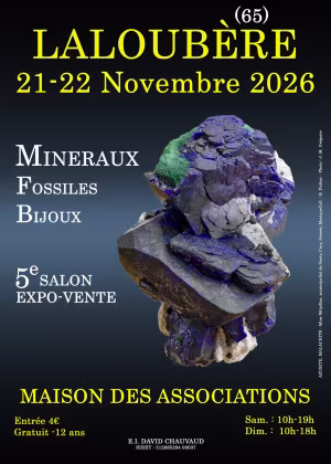 5e SALON MINERAUX FOSSILES BIJOUX de LALOUBERE