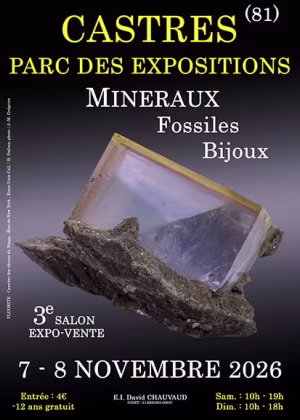 3e SALON MINERAUX FOSSILES BIJOUX de CASTRES