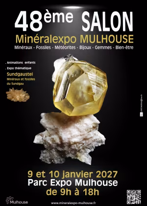 48ème salon Minéralexpo-Mulhouse 2027