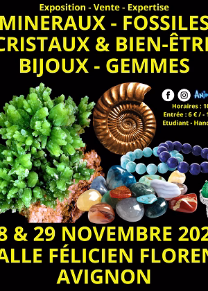 Salon Minéraux Fossiles Cristaux & Bien-Être Gemmes et Bijoux
