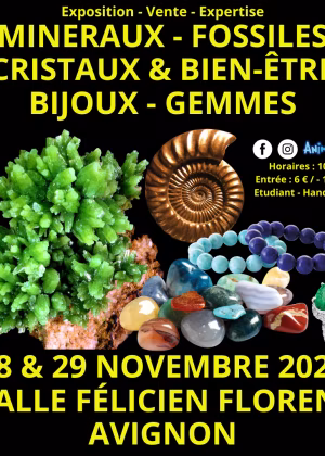Salon Minéraux Fossiles Cristaux & Bien-Être Gemmes et Bijoux