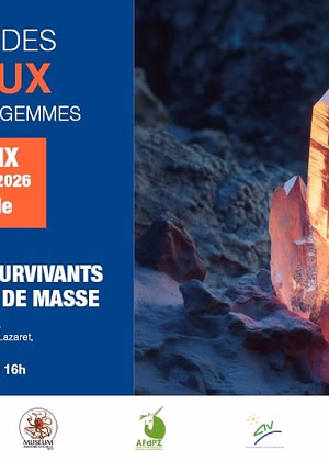 41e Salon des Minéraux, Fossiles et Pierres Gemmes