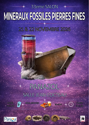 337ME SALON DES MINERAUX FOSSILES ET PIERRES FINES