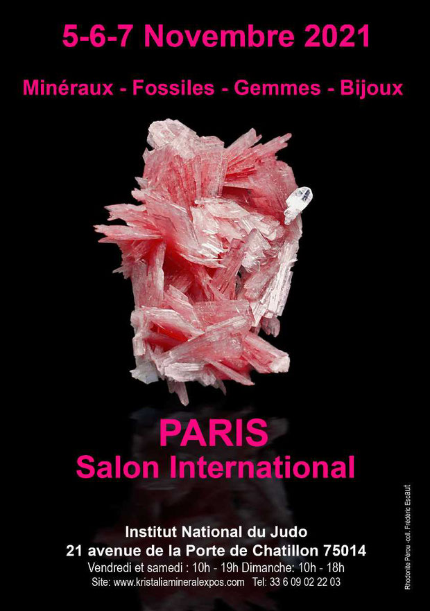 Paris salon international