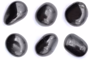Shungites