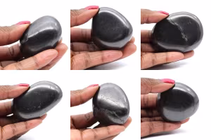 Shungites