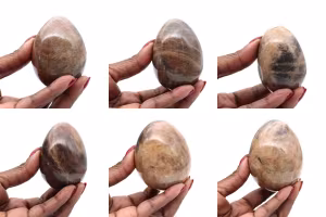 Oeuf