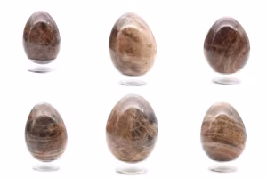 Oeuf