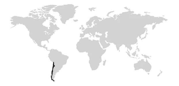 Pays d'origine Chili