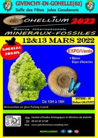 GOHELLIUM2022, Bourse Internationale MINERAUX-FOSSILES