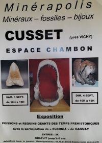 MINERAPOLIS  salon de fossiles, minéraux et bijoux
