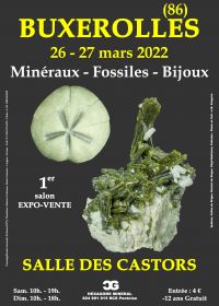 1er Salon minéraux fossiles bijoux