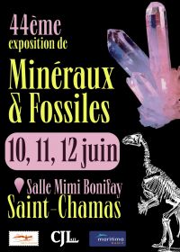 44eme Salon des Mineraux et des Fossiles