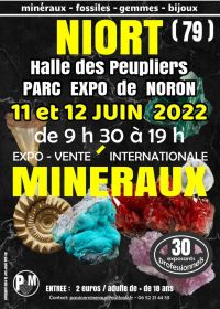 Expo-vente de minéraux, fossiles, gemmes, bijoux