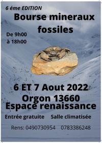 6éme bourse mineraux fossiles