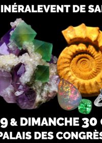 21ème Salon MinéralEvent de Saint-Raphaël