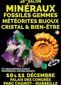 46ème Salon MinéralEvent de Marseille