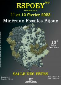 13e Salon minéraux fossiles et bijoux