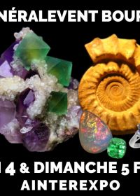 37ème Salon MineralEvent Bourg-en-Bresse