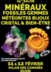 29ème Salon MineralEvent Dijon