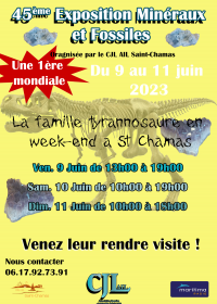 45ème Salon des Minéraux et Fossiles