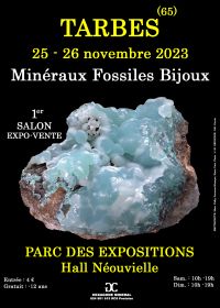 1er SALON MINERAUX FOSSILES BIJOUX