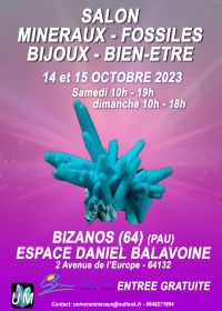 Salon minéraux, fossiles, bijoux de créateur et bien-être.