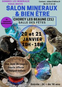 Salon Minéraux, fossiles, météorites et bien être