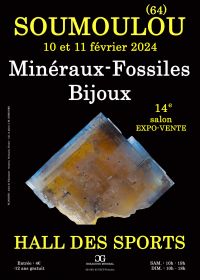 14e Salon minéraux fossile bijoux