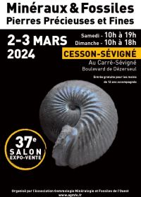 37ème salon de minéraux de l'AGMFO