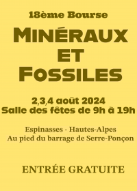 18 ième bourse minéraux et fossiles.