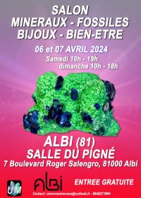 Salon minéraux, fossiles, bijoux de créateur et bien-être.