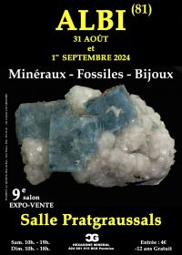 9e SALON MINERAUX FOSSILES BIJOUX d'ALBI