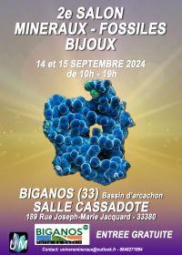 Salon Minéraux, Fossiles, Bijoux de créateur