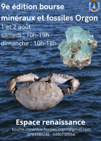 9éme bourse minéraux  fossiles bijoux météorites