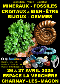 Salon Minéraux Fossiles Cristaux & Bien-Être Bijoux et Gemmes