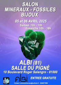 Salon minéraux, fossiles, bijoux de créateur.