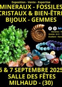 Salon Minéraux Fossiles Cristaux & Bien-Être Bijoux et Gemmes de Nîmes
