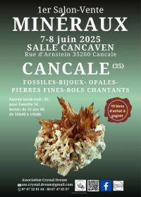 1ère édition du salon vente de minéraux, fossiles & bijoux