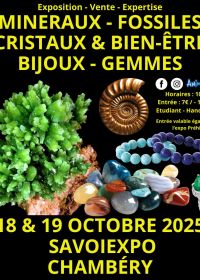 6ème Salon Minéraux Fossiles Cristaux Bien-Être Bijoux et Gemmes