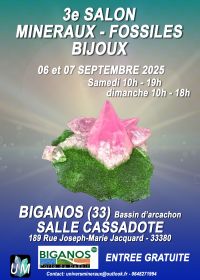 Salon minéraux, fossiles, bijoux de créateur.