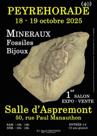 1er SALON MINERAUX FOSSILES BIJOUX