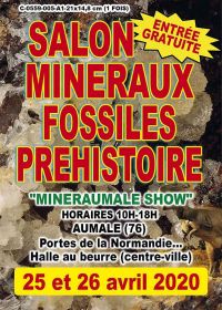 5ème bourse Exposition de Minéraux et Fossiles Préhistoire