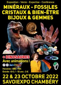 Salon Minéraux Fossiles Cristaux & Bien-Être Bijoux et Gemmes et Exposition de Dinosaures