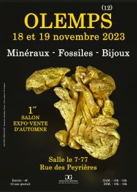 1er Salon minéraux fossiles bijoux d'automne de Olemps