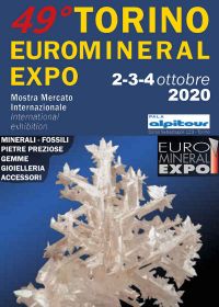 49ème Torino Euro Mineral Expo